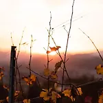 Schloss Suessenstein Casa de hóspedes Huettenberg