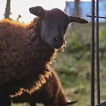 Schloss Suessenstein Casa de hóspedes 3*