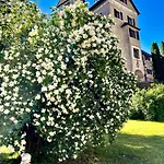 Schloss Suessenstein Guest house 3*