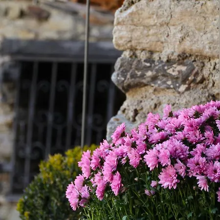 Schloss Suessenstein Huettenberg