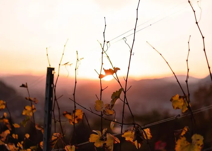 Schloss Suessenstein Konukevi Huettenberg