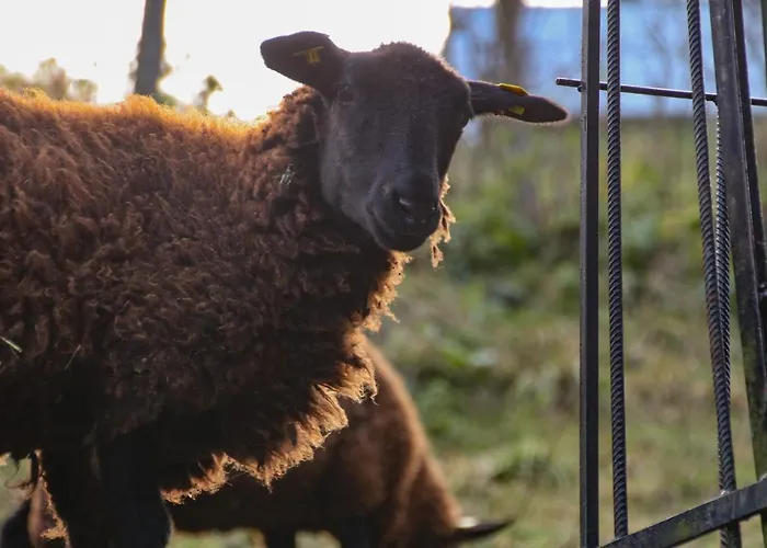 Schloss Suessenstein Konukevi 3*