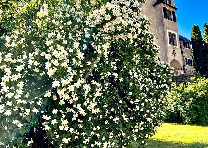 Schloss Suessenstein Konukevi 3*